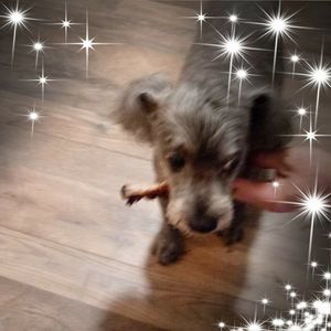 Meet your Posher, Tonya